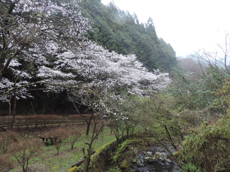 f:id:minato920:20210321111016j:plain