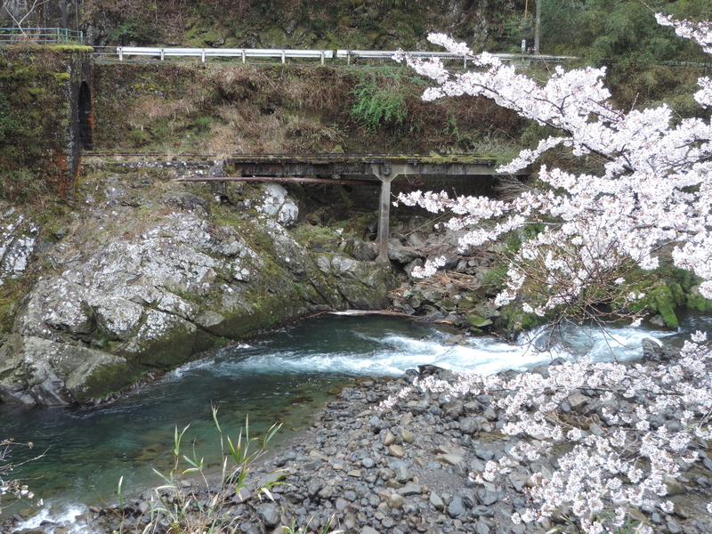 f:id:minato920:20210321111259j:plain