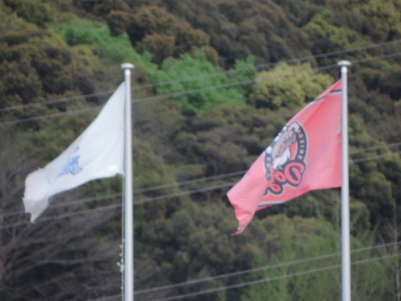 f:id:minato920:20210411083238j:plain