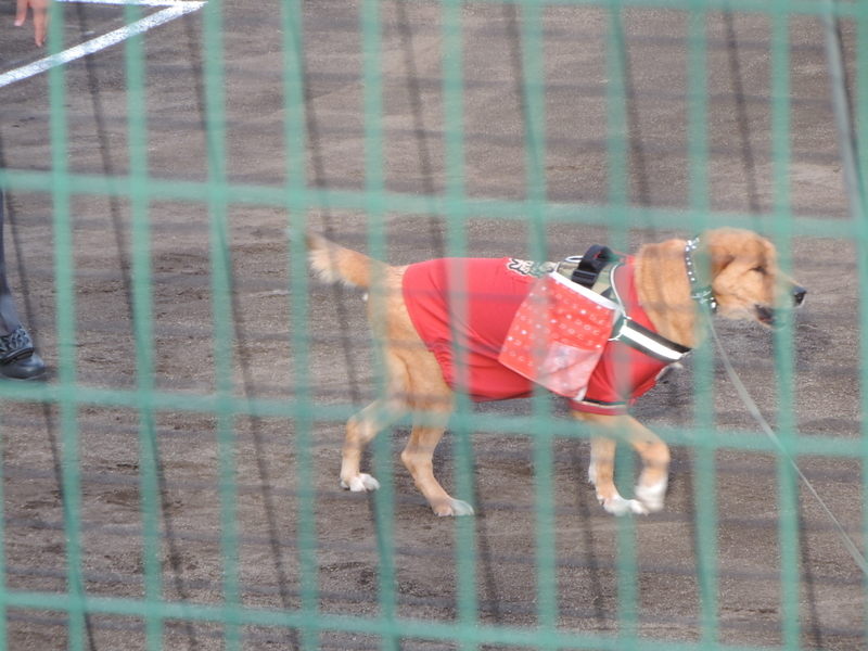 f:id:minato920:20210726075522j:plain