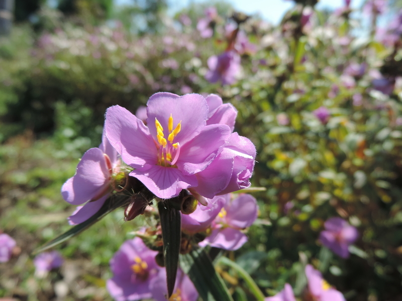 f:id:minato920:20211004115303j:plain