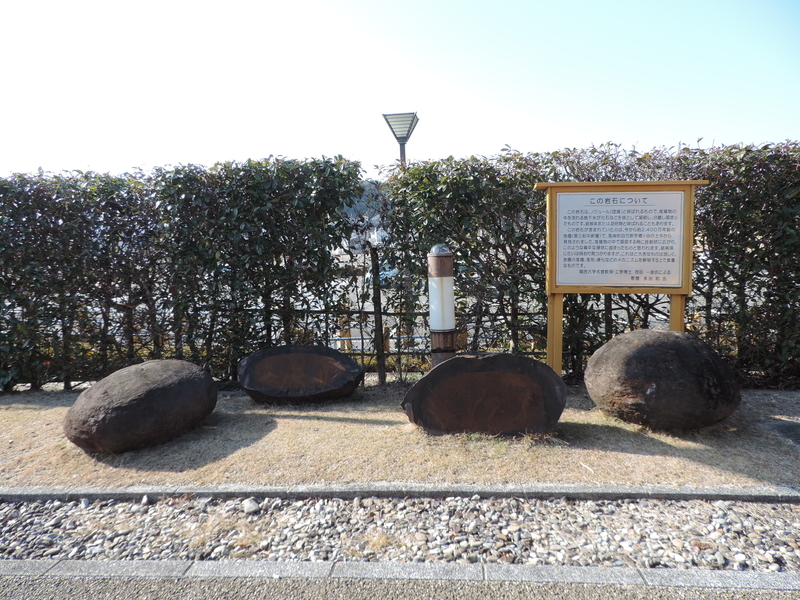 f:id:minato920:20220111202333j:plain