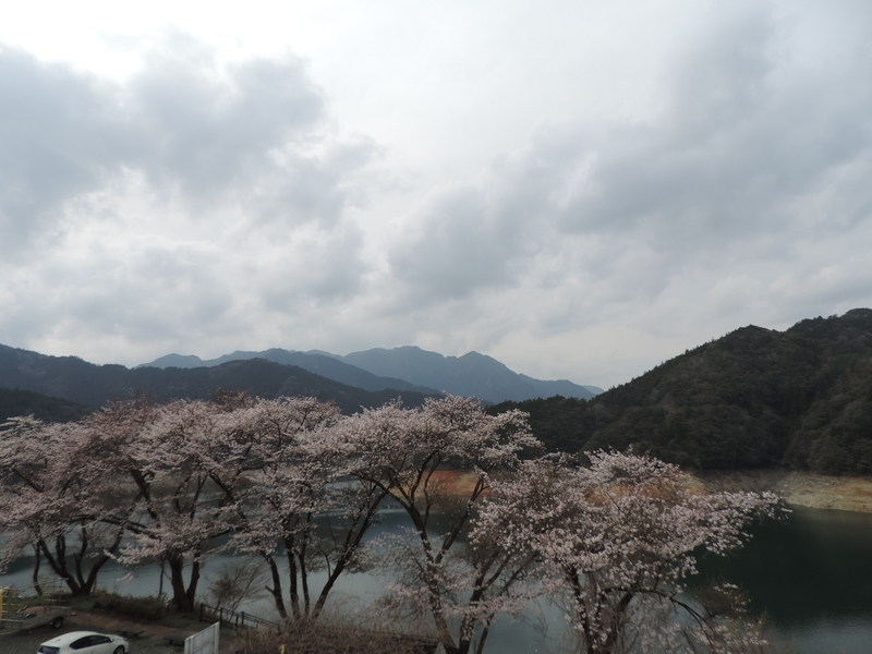 f:id:minato920:20220330135502j:plain