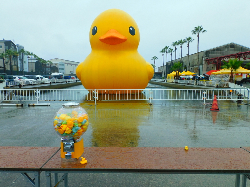 アヒル Amazon.co.jp: ダッくんダック ラバーダック ミッチェル（Mitchell