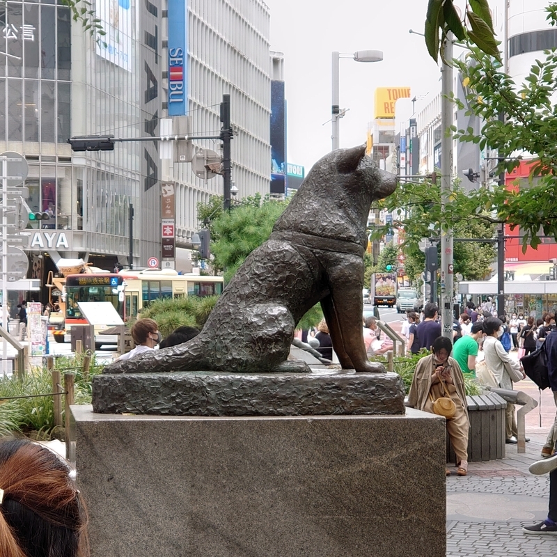 f:id:minato_serenade:20200729193119j:plain