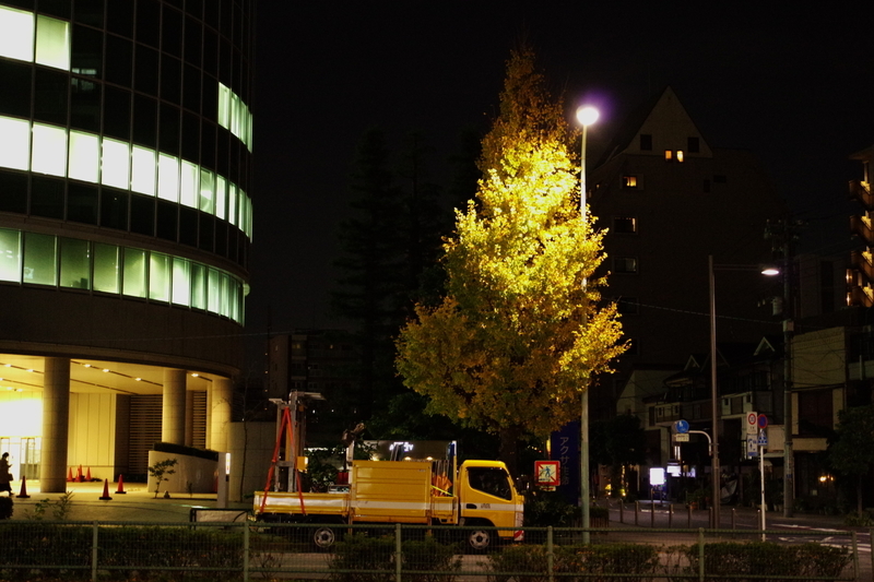 f:id:minato_serenade:20201130212235j:plain