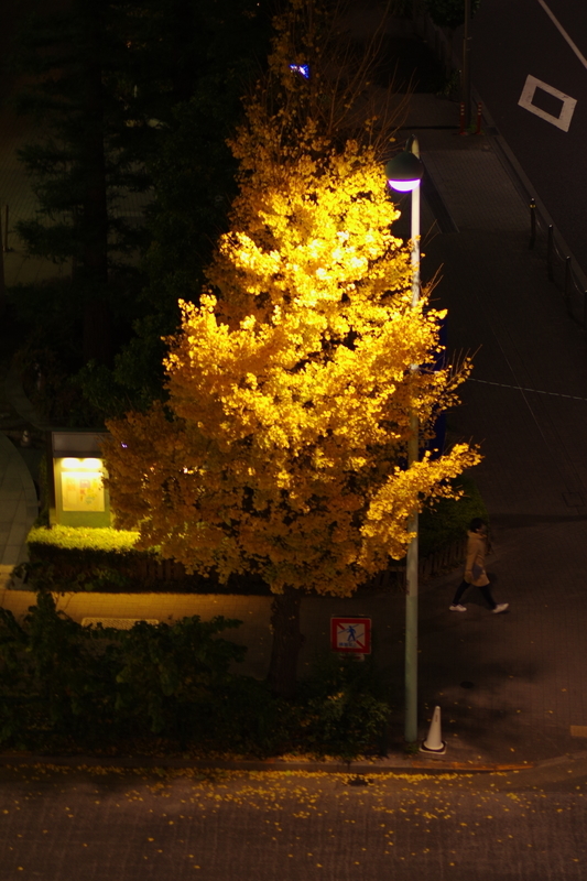 f:id:minato_serenade:20201210205131j:plain