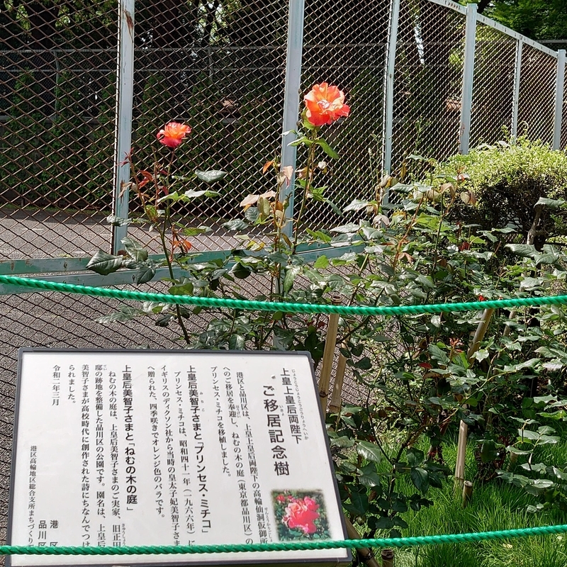 f:id:minato_serenade:20210514142152j:plain