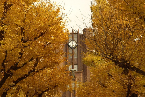 f:id:minatoblog:20170122122853j:plain 東京大学
