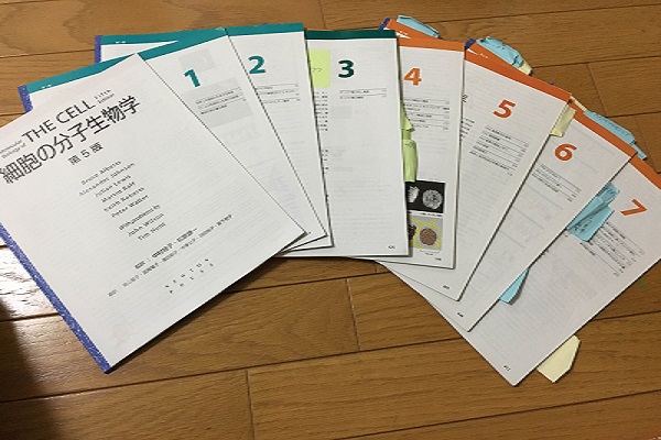 f:id:minatoblog:20170122171123j:plain f:id:minatoblog:20170122171123j:plain