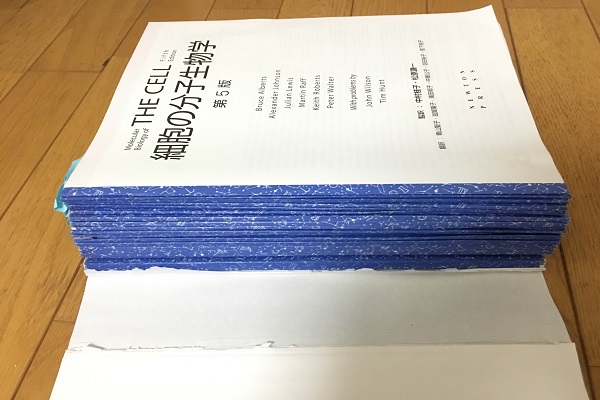 f:id:minatoblog:20170122171333j:plain f:id:minatoblog:20170122171333j:plain