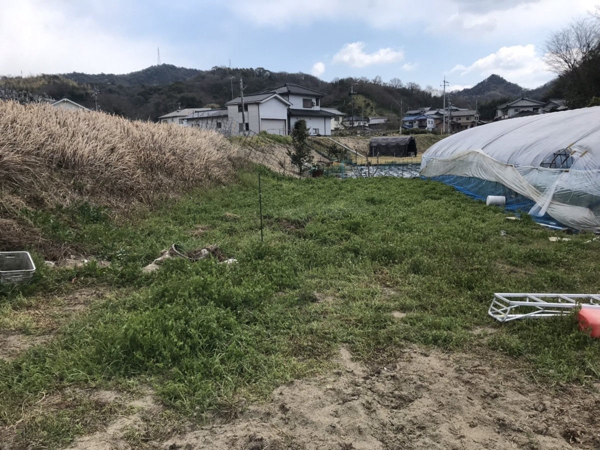 f:id:minatogumi:20190402215826j:plain f:id:minatogumi:20190402215826j:plain