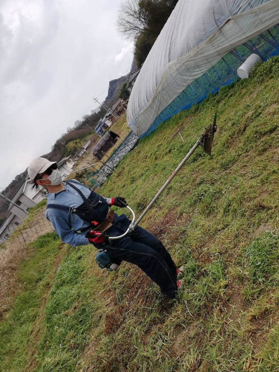 f:id:minatogumi:20190402220008j:plain f:id:minatogumi:20190402220008j:plain