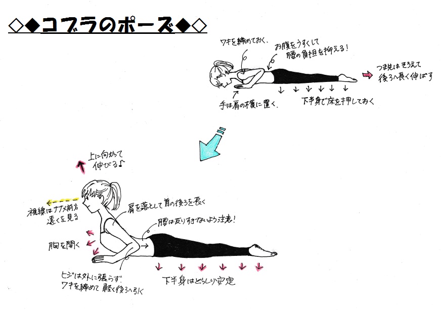 f:id:minatostudio:20180717182830j:plain f:id:minatostudio:20180717182830j:plain