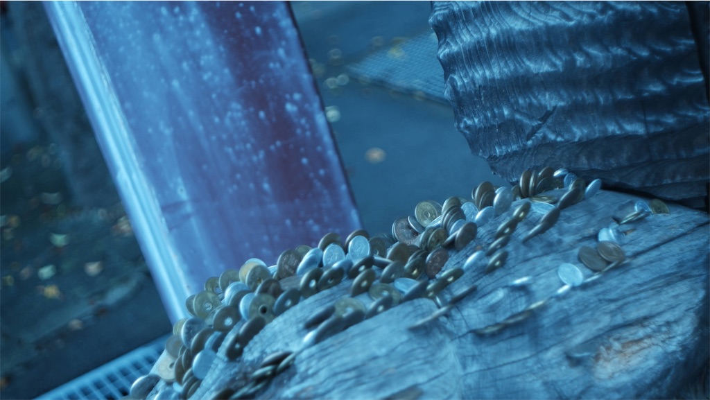 f:id:minatosuzukiplaywright:20231126212355j:image f:id:minatosuzukiplaywright:20231126212355j:image