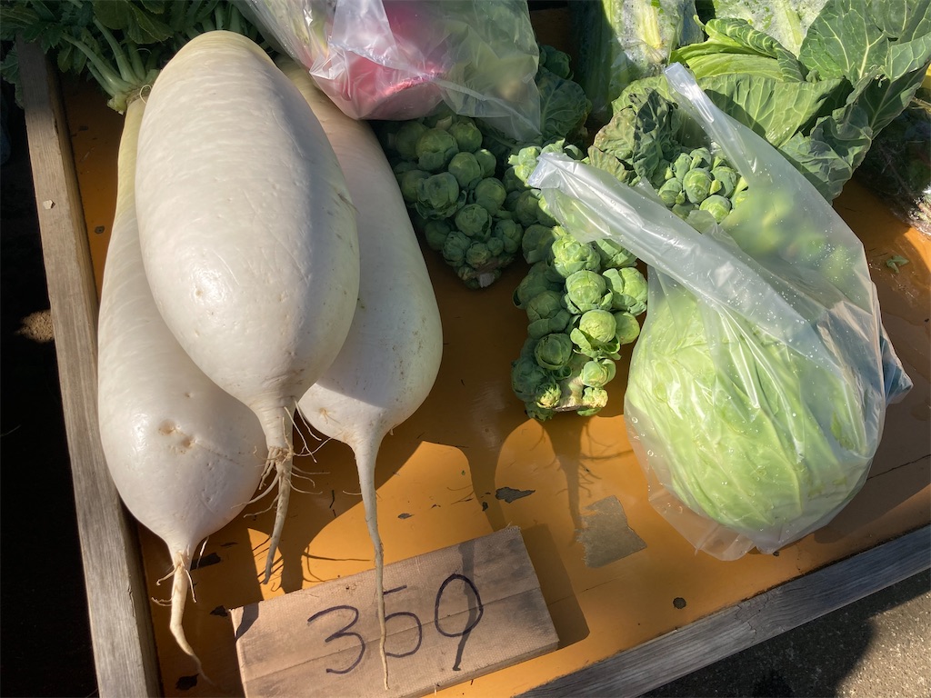 f:id:minatoyoko:20210220141047j:plain