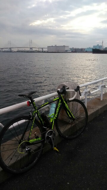 f:id:minatoyokohama303:20190115225742j:image f:id:minatoyokohama303:20190115225742j:image