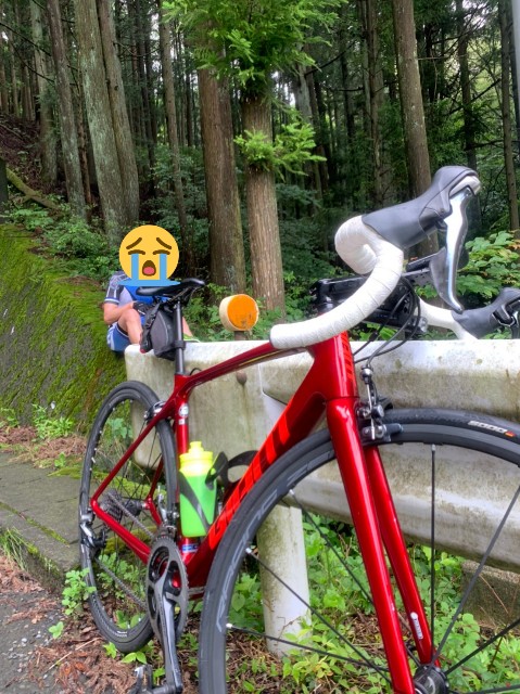 f:id:minatoyokohama303:20200705190740j:image f:id:minatoyokohama303:20200705190740j:image