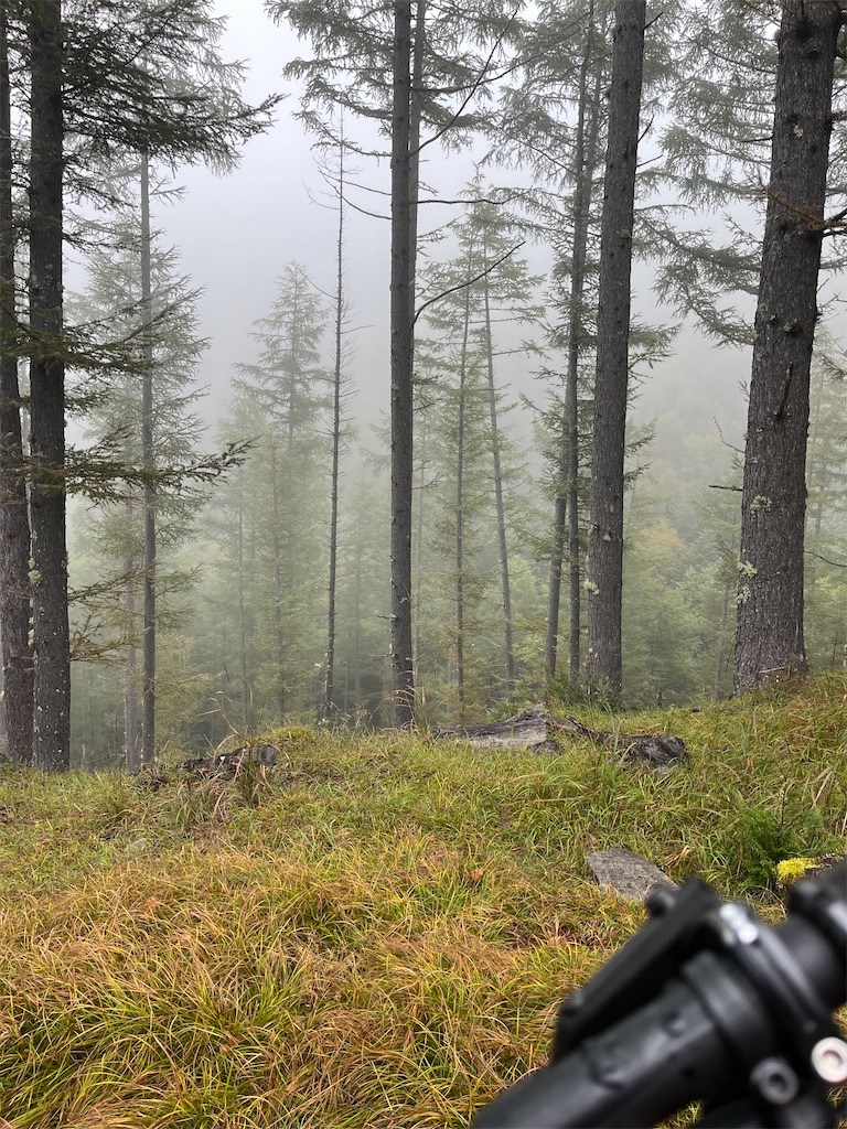 f:id:minatoyokohama303:20251006222132j:image