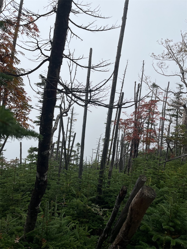 f:id:minatoyokohama303:20251006224224j:image