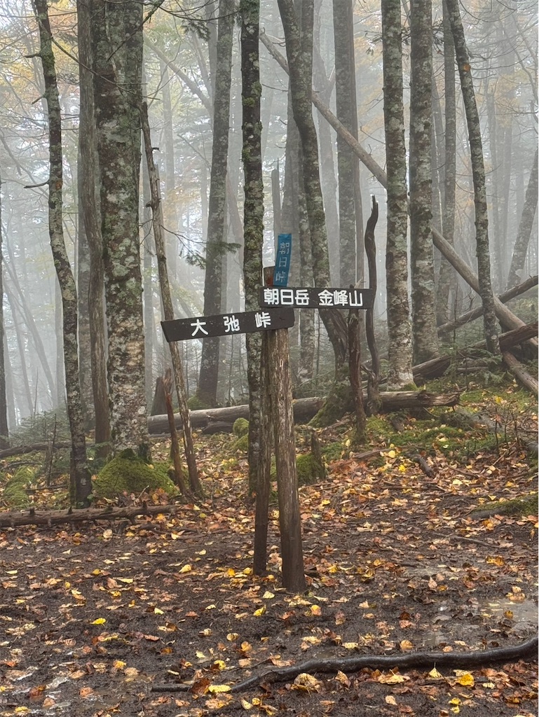 f:id:minatoyokohama303:20251006224445j:image