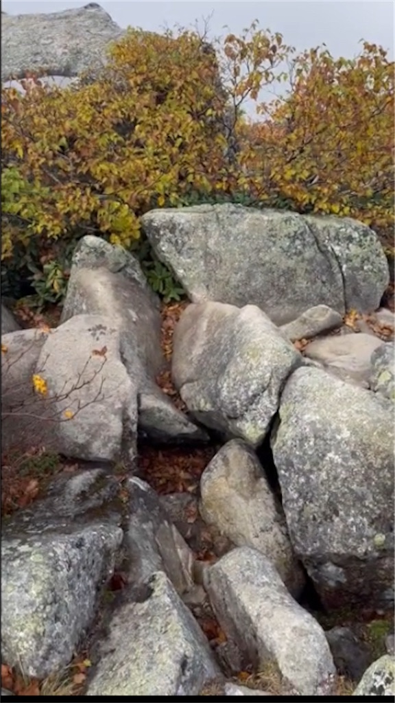 f:id:minatoyokohama303:20251007071003j:image