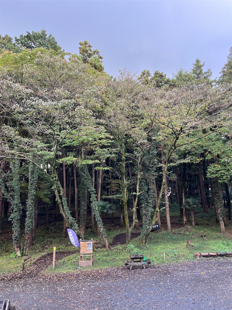 f:id:minatoyokohama303:20251110143802j:image