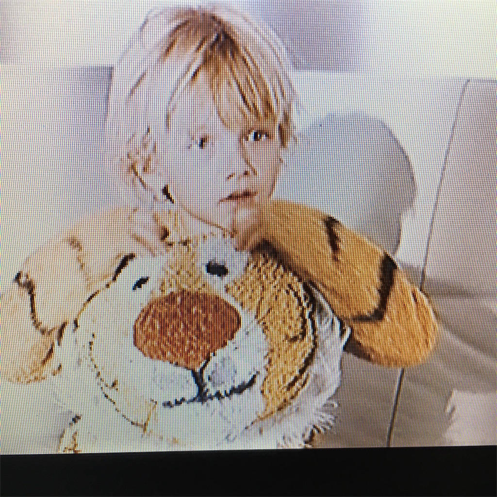 f:id:minazoko55:20170108183308j:image