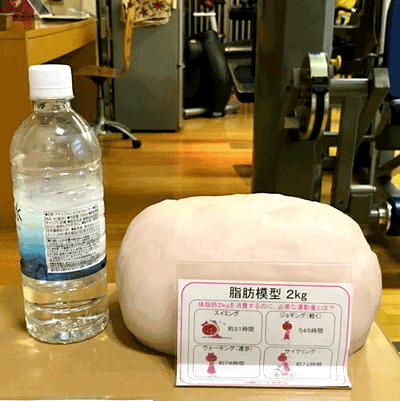 脂肪模型2kg