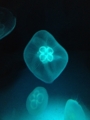 20120317114532