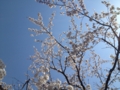 20120408142526