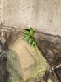 20120424162622