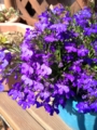 20120512143247