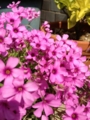 20120512143319
