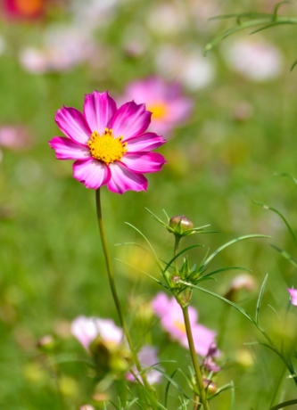 f:id:mindcat:20111008120202j:image:w280:left