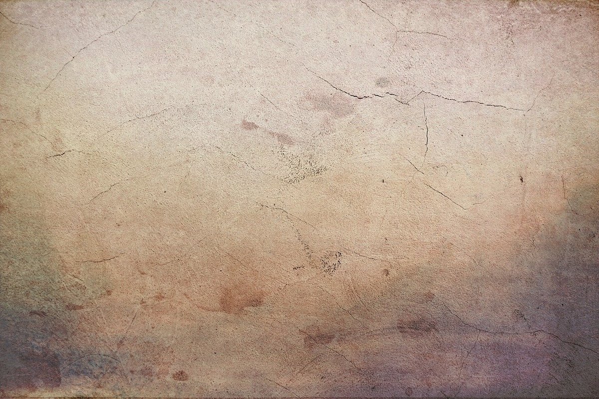 f:id:mindtypeohyama:20220321172159j:plain