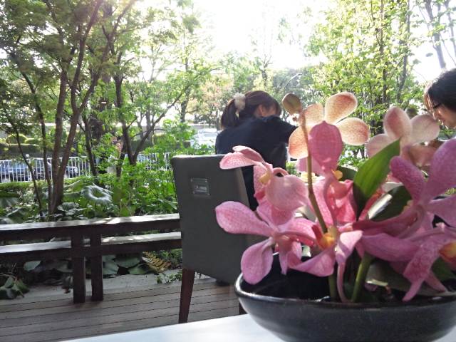 f:id:mine-0:20110424160432j:image f:id:mine-0:20110424160432j:image