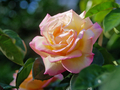 20260425174716