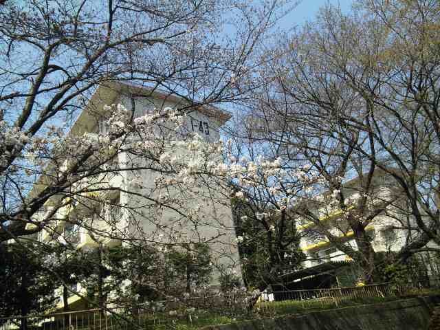 f:id:minechi_n:20090321111653j:image