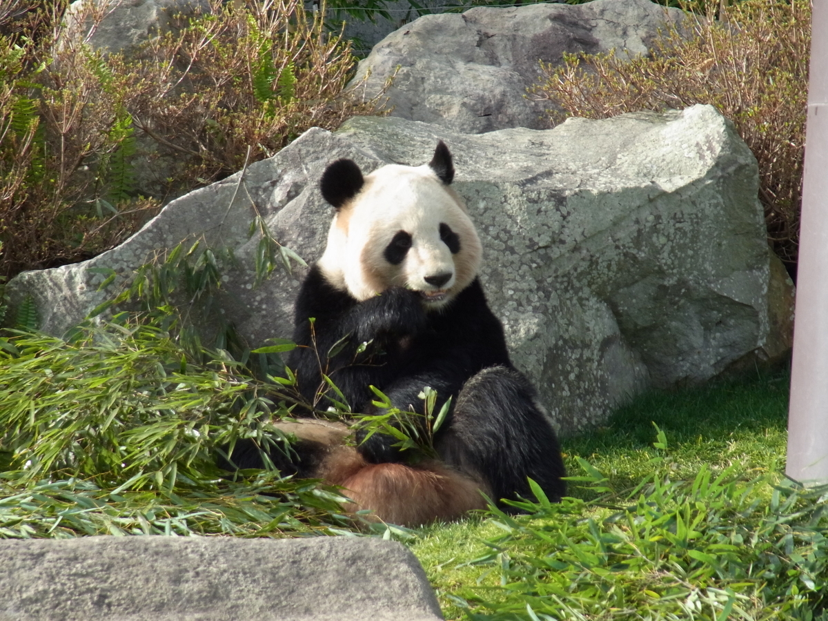 f:id:minefoolman:20220125214345j:plain