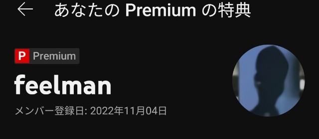 f:id:minefoolman:20221104204314j:image f:id:minefoolman:20221104204314j:image