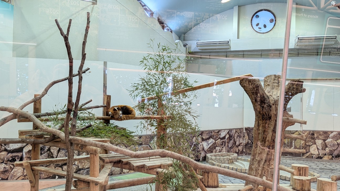 f:id:minefoolman:20260310222409j:image f:id:minefoolman:20260310222409j:image