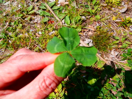 f:id:minehatakouki:20150330120142j:image