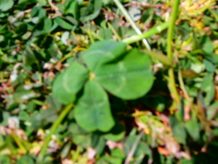 f:id:minehatakouki:20150330120350j:image