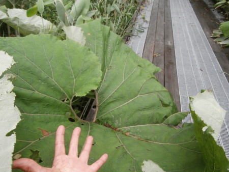 f:id:minehatakouki:20150626115644j:image