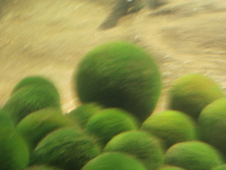 f:id:minehatakouki:20150629162252j:image