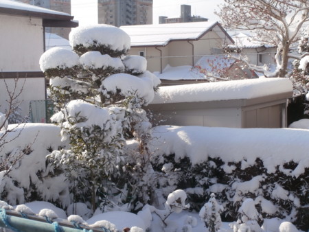 f:id:minehatakouki:20160125095939j:image
