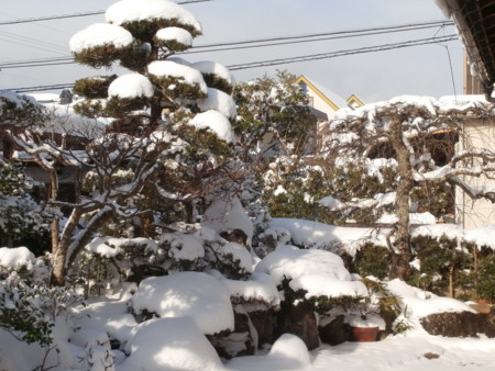 f:id:minehatakouki:20160125101358j:image