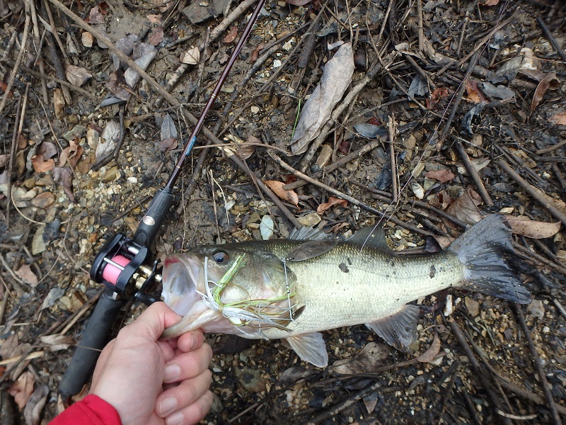 f:id:minekofujiko:20191224141755j:plain