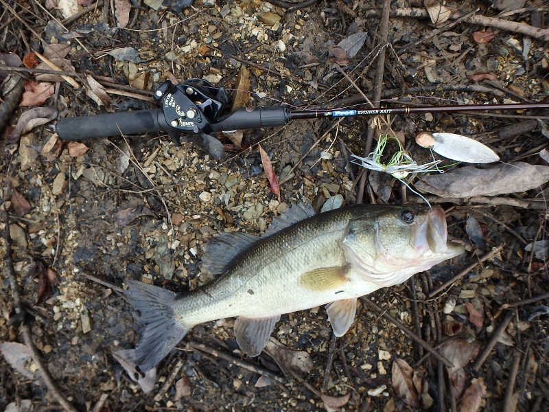 f:id:minekofujiko:20191224141831j:plain